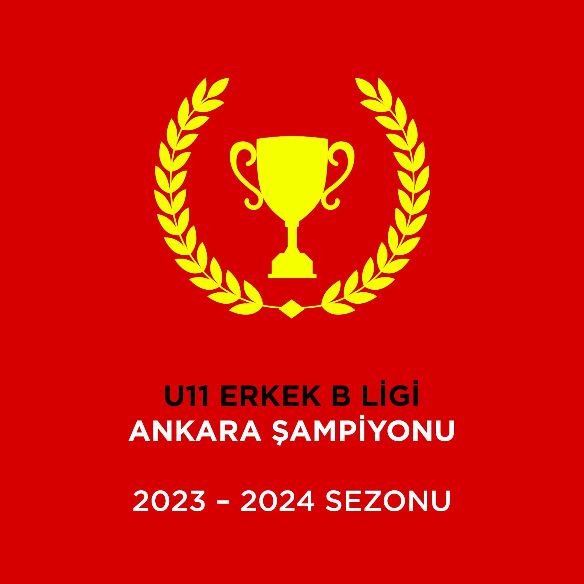 U11 ERKEK B LİGİ ANKARA ŞAMPİYONU